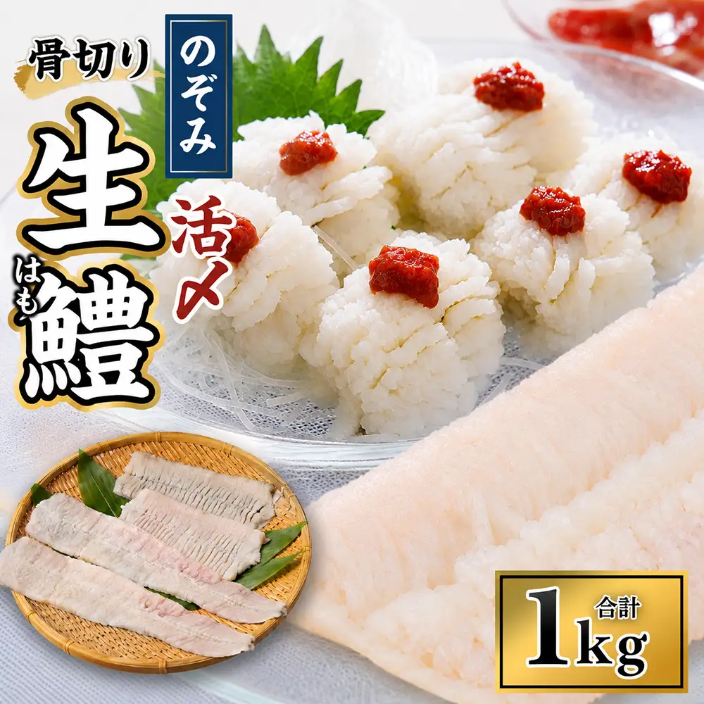 のぞみ水産 活〆 骨切り 生鱧 1kg 【2026年5月上旬から12月上旬発送予定】