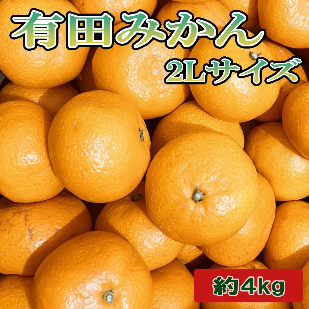[秀品]和歌山有田みかん約4kg(2Lサイズ) ★2026年11月中旬頃より順次発送［TM199］