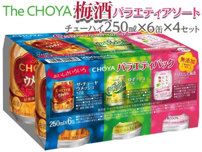 The CHOYA 梅酒 バラエティアソート [ チューハイ 250ml×6缶×4セット ]｜お酒 梅 缶 チョーヤ 6L 24本 ※離島への配送不可