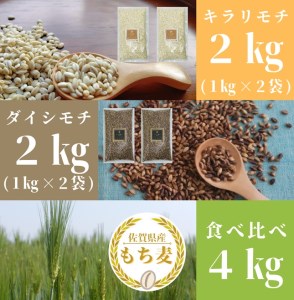 CIB94_佐賀県産『もち麦』食べ比べ！キラリモチ２㎏、ダイシモチ２㎏