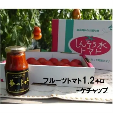 【事前受付】トマト(深層水トマト)1.2キロとトマトケチャップ【濃厚な甘みと旨味】【配送不可地域：離島】【1287336】