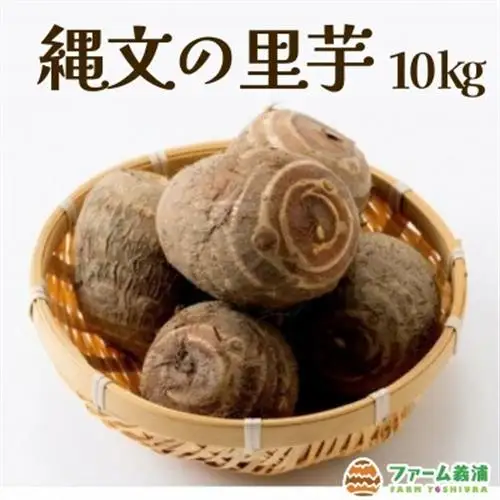 富山県小矢部市産「縄文の里芋」10kg【1291459】