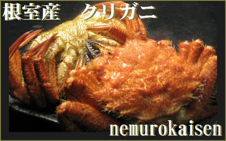 【北海道根室産】クリガニ12～18尾(計2.4kg) A-57017