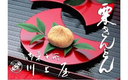 【12月お届け】 御菓子所 川上屋 栗きんとん （秋季限定）10個入り F4N-1069