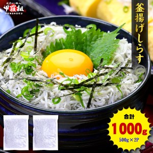 甲羅組 天然 釜揚げしらす 約500g 2袋 合計 約1kg (a10-807)