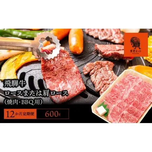 【12か月定期便】【飛騨牛】ロースまたは肩ロース600g (焼肉・BBQ用)