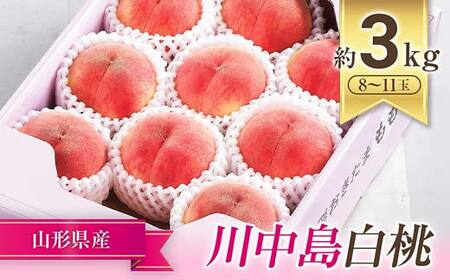 【令和8年産先行予約】 JA もも 「川中島」 約3kg (8～11玉) 化粧箱入り 《令和8年8月下旬～9月下旬発送》 『JA山形おきたま』 桃 モモ 果物 フルーツ 山形県 南陽市 [982]