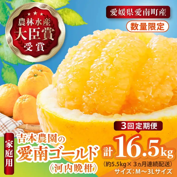 【先行予約】河内晩柑３回お届け定期便／家庭用愛南ゴールド 5.5kg×3回＜柑橘 希少 果物 国産 フルーツ みかん 蜜柑 定期便 家庭用 和製 グレープフルーツ ブランド 果実 ビタミン 愛媛県 鬼北町 ＞ ※2027年4月～発送