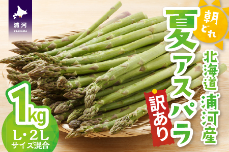 【今が旬！】【訳あり】北海道浦河産 朝採り夏アスパラ(グリーン)1kg[03-145]