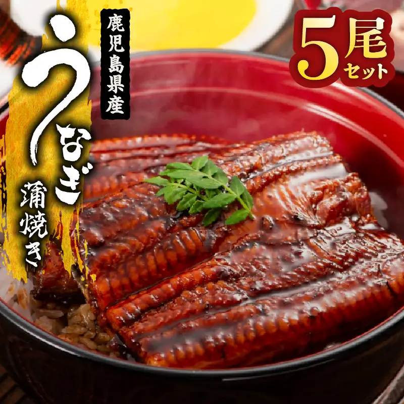  1651-1 鹿児島県産 うなぎ蒲焼き 5尾セット KN058-002-05 魚 鰻