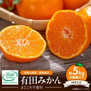 和歌山の有田みかん 化粧箱入り 約5kg Mサイズ 【まごころ手選別】_ZE6322n
