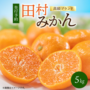 【2026年先行予約】高級ブランド 田村みかん 約5kg_G7340