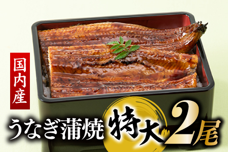 AG070.【国内産】【有頭】うなぎ蒲焼 (特大) 2尾 ＜計500g前後＞『１～２ヶ月前後でお届け！！』