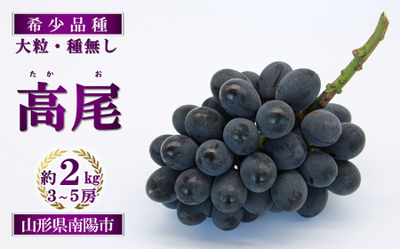 【令和8年産先行予約】 希少品種の黒系ぶどう 「高尾」 約2kg (3～5房 秀) 《令和8年9月頃～発送》 『南陽中央青果市場』果物 フルーツ デザート 山形県 南陽市 [1043]