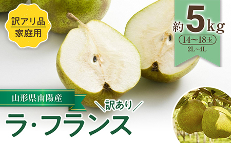 【令和8年産先行予約】 〈訳あり品 家庭用〉 ラ・フランス 約5kg (14～18玉 2～4L) 《令和8年11月中旬～発送》 『寿農園 （近野寿安）』山形県 南陽市 [1056]