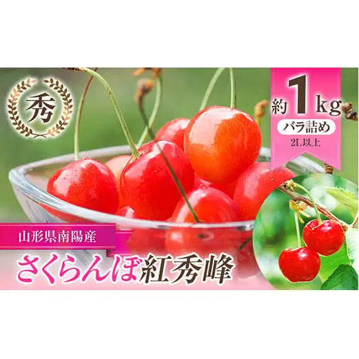 【令和9年産先行予約】 さくらんぼ 「紅秀峰」 約1kg (秀 2L以上) バラ詰め 《令和9年6月下旬～発送》 『生産者おまかせ』 サクランボ 果物 フルーツ 産地直送 生産農家直送 山形県 南陽市 [985]