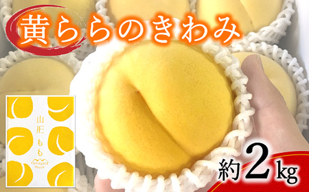 【令和8年産先行予約】 黄桃 「黄ららのきわみ」 約2kg (6～9玉 秀) 《令和8年9月中旬～発送》 『南陽中央青果市場』 桃 もも 果物 フルーツ デザート 山形県 南陽市 [1044]
