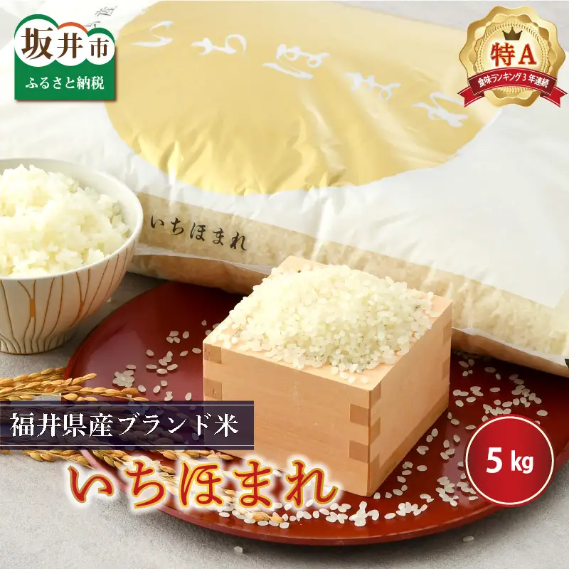 【令和7年産】（玄米）さんさん池見二代目がお届けする 福井県産いちほまれ 5kg [B-0219_04]