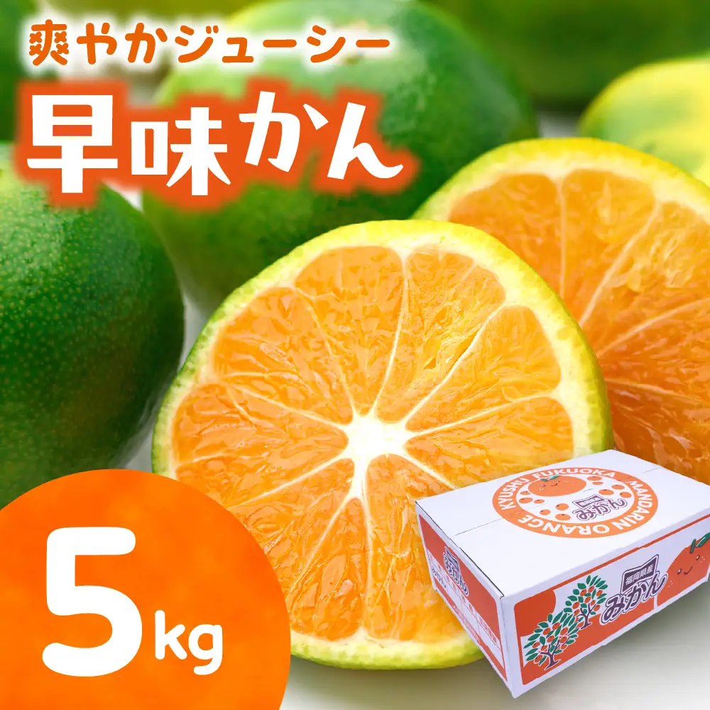 福岡県ブランド 極早生みかん「早味かん」5kg【JAほたるの里】_HA0887