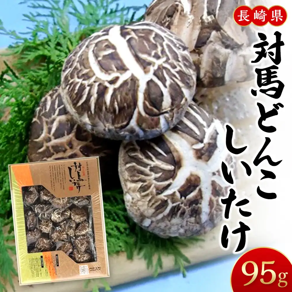 【AB098】対馬どんこしいたけ | しいたけ