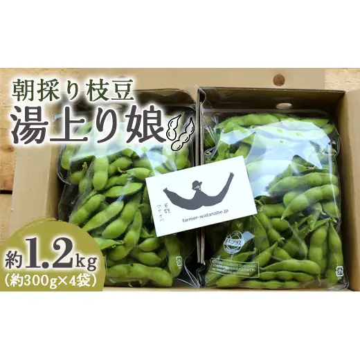 【令和9年産 先行予約】朝採り枝豆 「湯上り娘」 約1.2kg 《令和9年8月～発送》 『最上園』 山形県 南陽市 [683-R9]