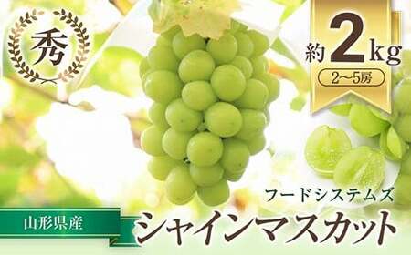 【令和8年産先行予約】 シャインマスカット 約2kg (2～5房 秀) 《令和8年9月下旬～11月中旬発送》 『フードシステムズ』 マスカット 葡萄 ぶどう 果物 山形県 南陽市 [1388]