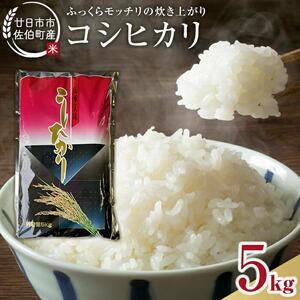 廿日市市佐伯町産 コシヒカリ 5kg