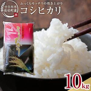 廿日市市佐伯町産 コシヒカリ 10kg