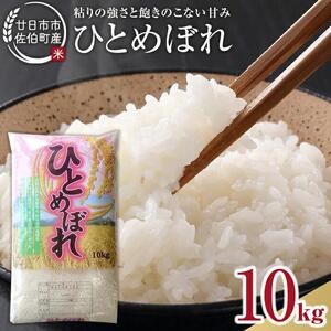 廿日市市佐伯町産 ひとめぼれ 10kg