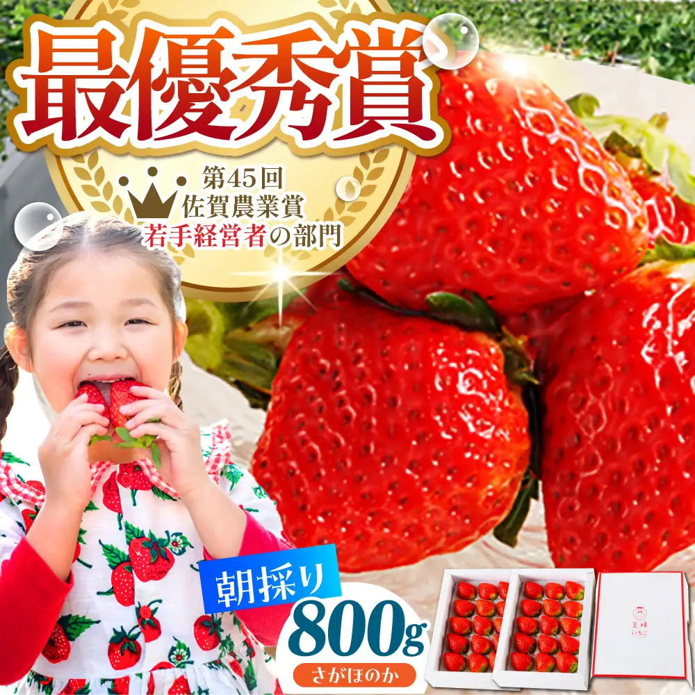 【先行予約】【1?2月発送】王様のいちごさがほのか400g×2箱 HAF010 いちご フルーツ 果物