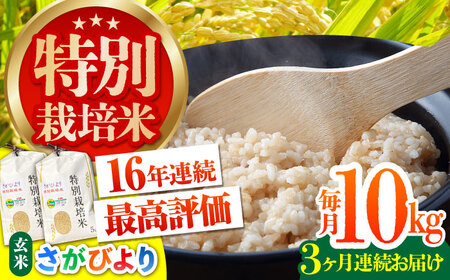 【全3回定期便】特別栽培米 さがびより 玄米 10kg [HAG019]