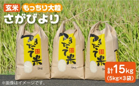 令和4年産 玄米 さがびより 15kg【武富農園】 [HAH001]特A米 特A評価 コメ 米