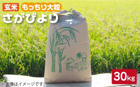 令和4年産 玄米 さがびより 30kg【武富農園】 [HAH002]特A米 特A評価 コメ 米