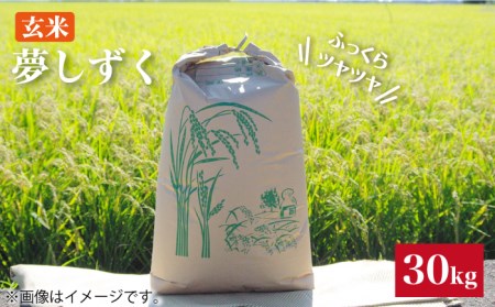 令和4年産 玄米 夢しずく 30kg【武富農園】 [HAH004]特A米 特A評価 コメ 米