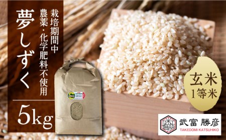 令和6年産 夢しずく玄米5kg HAJ015 玄米玄米玄米玄米玄米玄米玄米