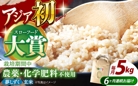 【全6回定期便】江北町産 1等米 夢しずく 玄米5kg【葦農】 [HAJ017]玄米 玄米 玄米 玄米