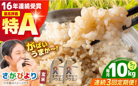 【全3回定期便】さがびより 玄米 10kg（5kg×2袋）【江頭農園】  [HAU006]特A 特A評価 コメ お米 特A米