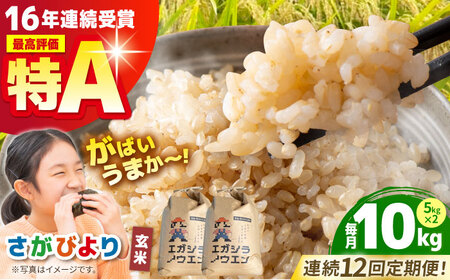 【全12回定期便】さがびより 玄米 10kg（5kg×2袋）【江頭農園】 [HAU008]特A 特A評価 コメ お米 特A米