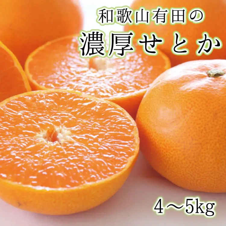 【高級】和歌山有田の濃厚せとか　約4～5kg　※2027年2月中旬～3月中旬順次発送予定【ard007B】