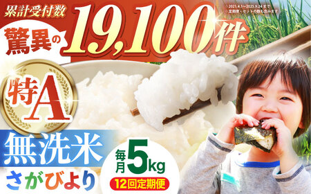 【全12回定期便】さがびより 無洗米 5kg  [HBL027]無洗米 無洗米 無洗米 無洗米 無洗米 無洗米 無洗米