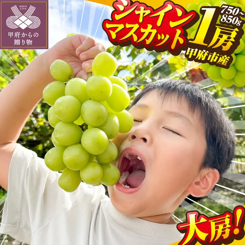 〈2026年度配送分〉山梨県甲府市産シャインマスカット1房(750ｇ～850ｇ)B
