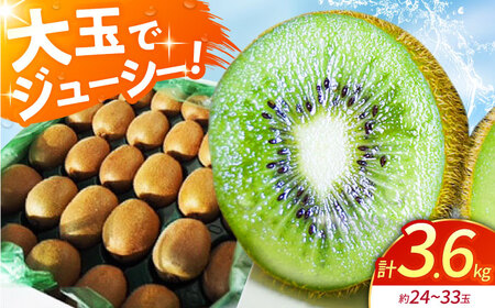 【先行予約】佐賀県産 キウイフルーツ（ヘイワード）3.6kg【JAさが】[HBZ001] キウイ 果物 くだもの