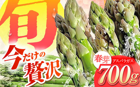 春芽 アスパラガス 700g  [HCC005] 野菜 アスパラ