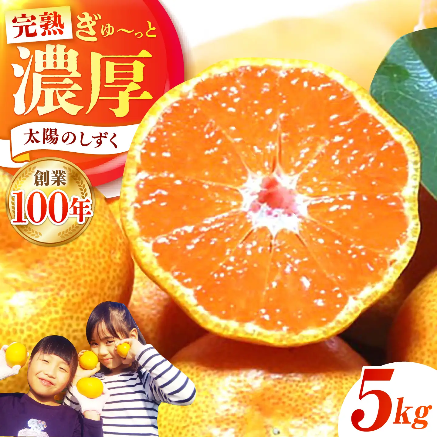 【先行予約】早生みかん 太陽のしずく 5kg【夢の甘熟みかん タッチ】[HCE001] 蜜柑 果物 フルーツ 柑橘