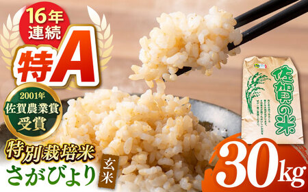 【特別栽培米】令和7年産さがびより 玄米 30kg 【ももさき農産】  [HCG001]