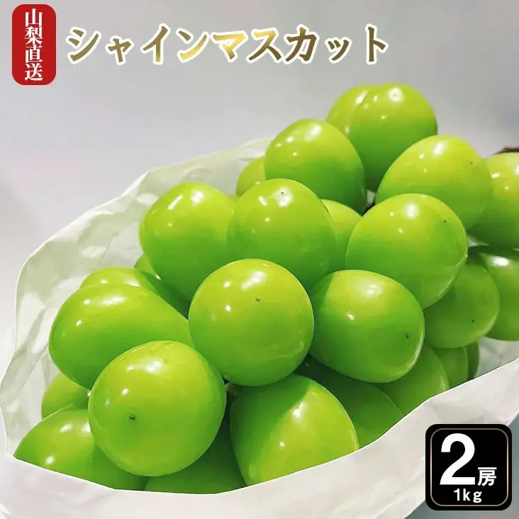 【2026年発送★先行予約】厳選!!池田青果のシャインマスカット1.0kg　2~3房173-006 | シャインマスカット 山梨県産シャインマスカット 大人気シャインマスカット 笛吹市産シャインマスカット 厳選シャインマスカット |