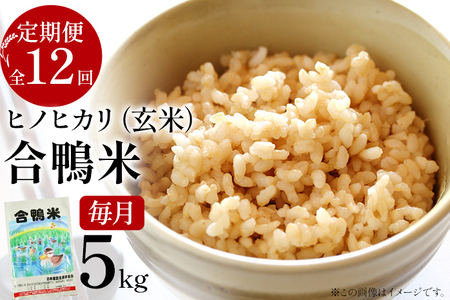 令和8年産 予約 合鴨米「ヒノヒカリ」（玄米・5ｋｇ）定期便12回コース　BI06　
