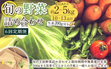 【定期便6回】旬の野菜の詰め合わせと栽培期間中農薬不使用の生姜200g付き 詰め合わせ 野菜セット 野菜 ギフト やさいセット お取り寄せグルメ 家庭用 旬野菜 新鮮 特産 農薬不要 食材