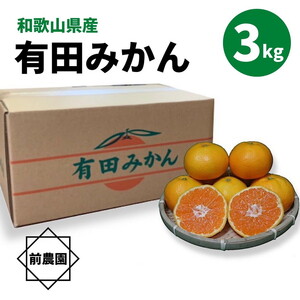 【2026年先行予約】【産地直送】和歌山県産 有田みかん 3kg サイズ混合_BL6110n
