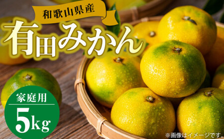 【2026年先行予約】【訳あり】和歌山県産 有田みかん 5kg_BL6111n